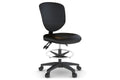 Plover Ergonomic Task Chair Jasonl no arms 